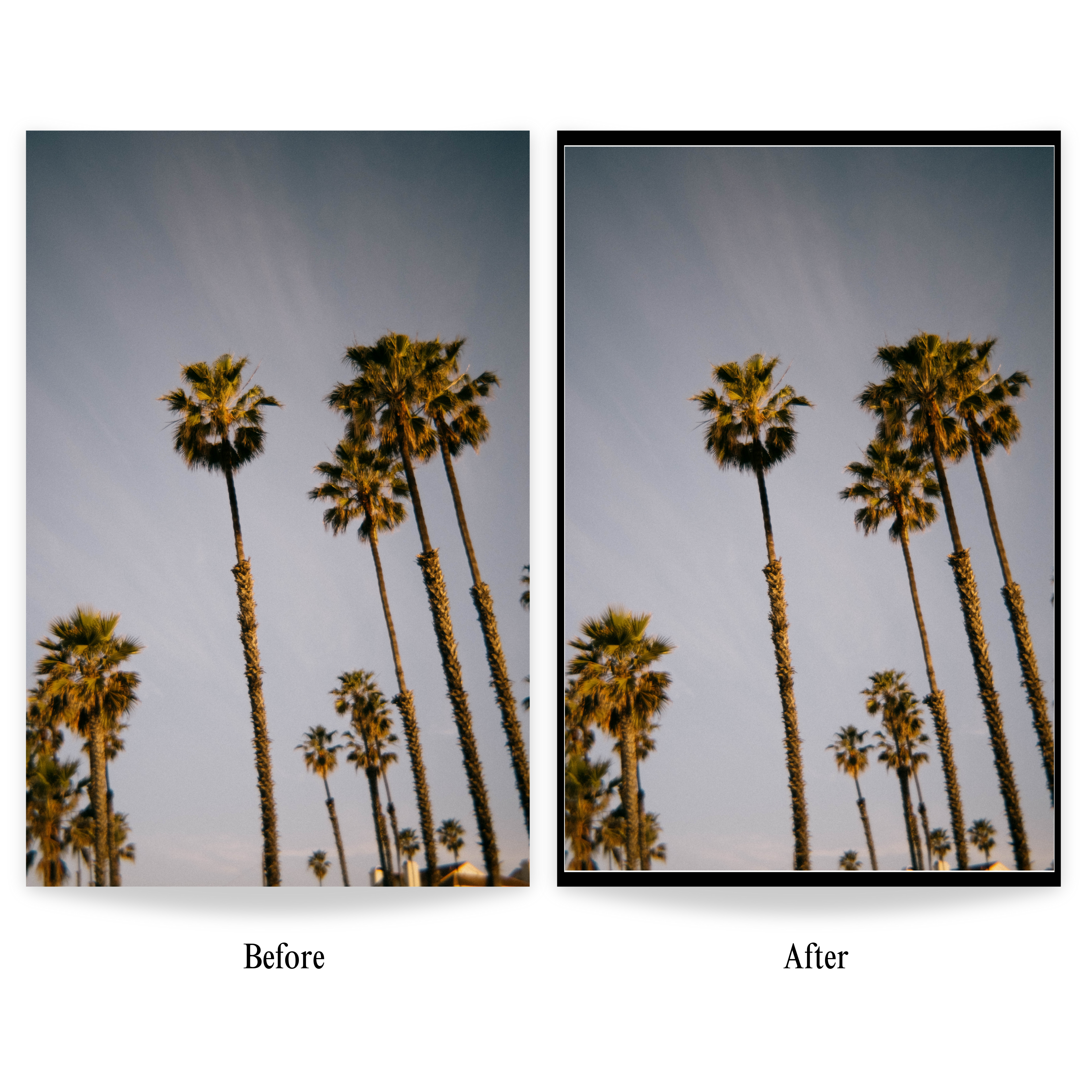 Retropia® Film Frames Pack (14 LR Frames)