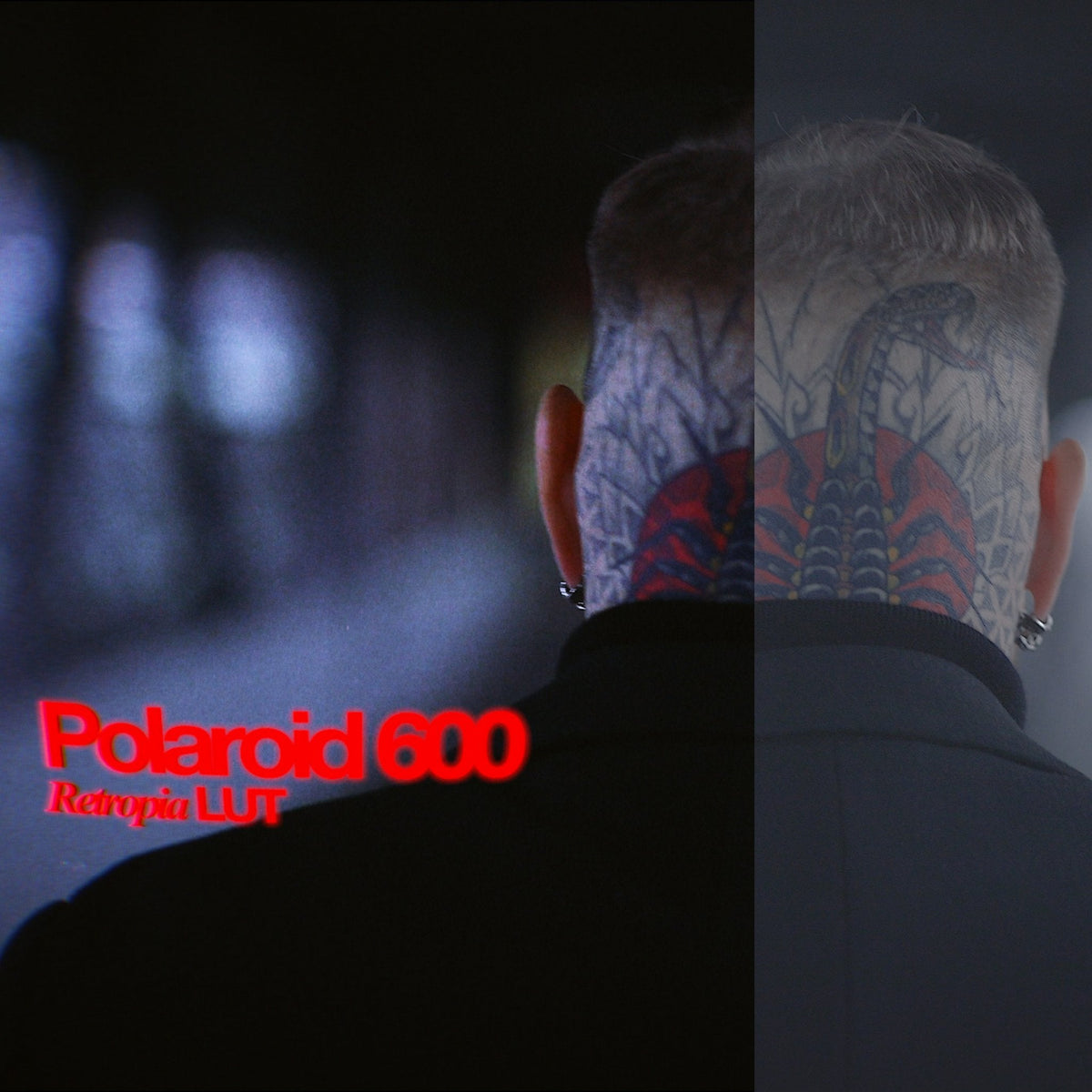 Retropia® Film Emulation LUT Pack (12 Video LUTS)